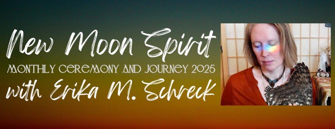 Read more about the article New Moon Spirit 2025 February